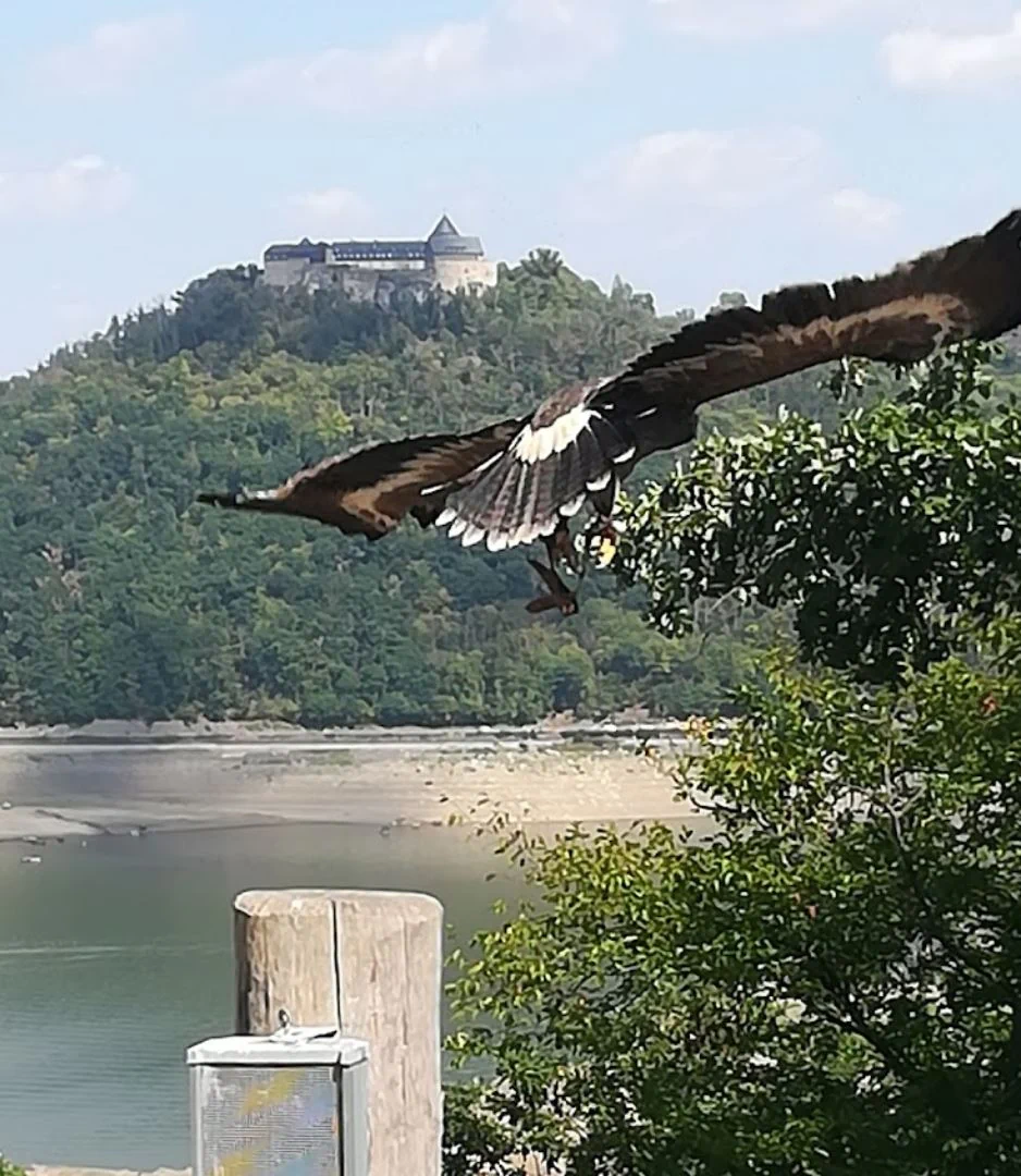 WildtierPark Edersee